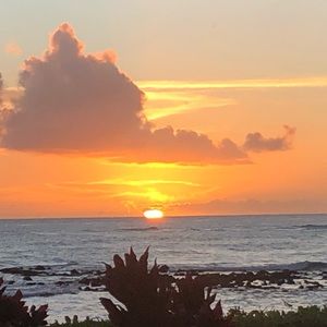 Meet your Posher, Julianna